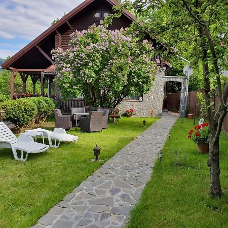 Drumul Domnisorilor C Villa Buşteni Exteriör bild