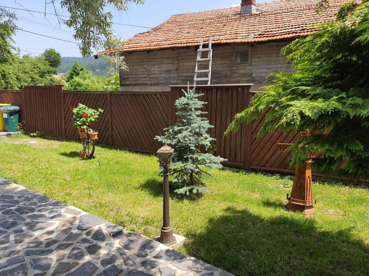 Drumul Domnisorilor C Villa Buşteni Exteriör bild